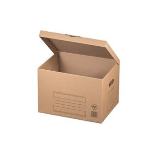 karton-billiger Archivschachteln Aktenkarton Archivkarton Archivbox mit Klappdeckel 10Stück