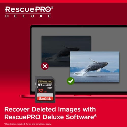 SanDisk Extreme PRO SDHC UHS-I Speicherkarte 32 GB (V30, Übertragungsgeschwindigkeit 100 MB/s, U3, 4K UHD Videos, temperaturbeständig)