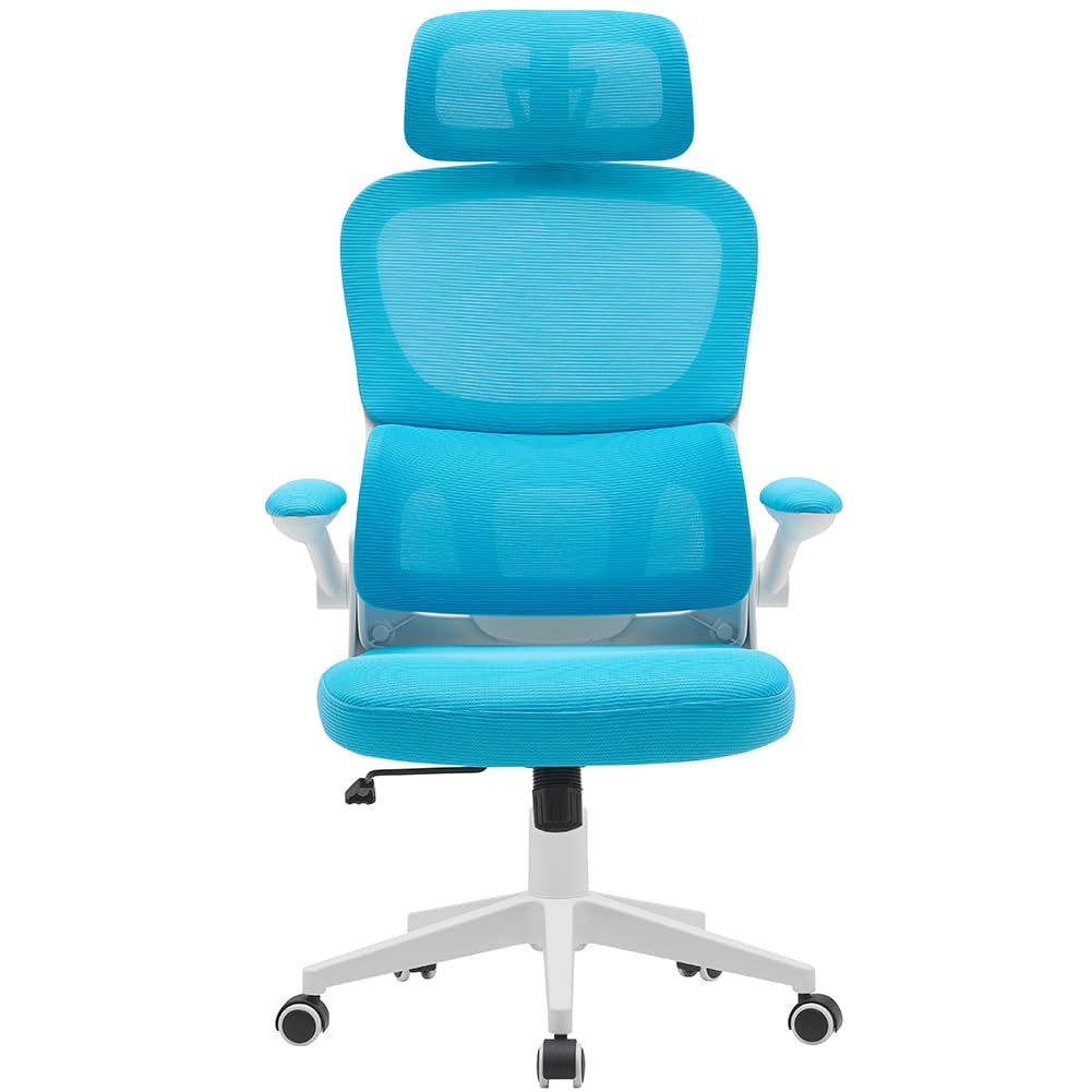 BAKAJI ergonomischer Bürostuhl mit Lendenstütze, Hellblau