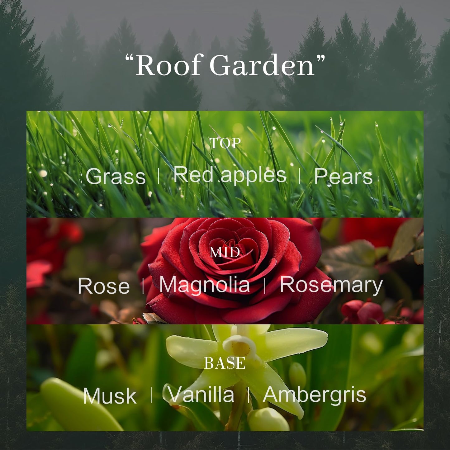 Candle Duftkerzen im Glas,Kerzen Geschenke für Frauen Männer,Luxus Duftkerze für Wohnkultur,Natürliches Sojawachs Kerze,68 Stunden Lang Brennen,Perfekt für Entspannen Bad Valentinstag Weihnachtskerze