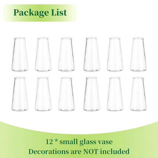 Hewory Kleine Glasvasen für Tischdeko Hochzeit: 12er Kleine Vasen Set Blumenvase Modern Vase Glas für Hochzeitsdeko - Klar Blumenvase Glas Vasen Deko Tulpenvase für Deko Wohnzimmer Wedding Esstisch
