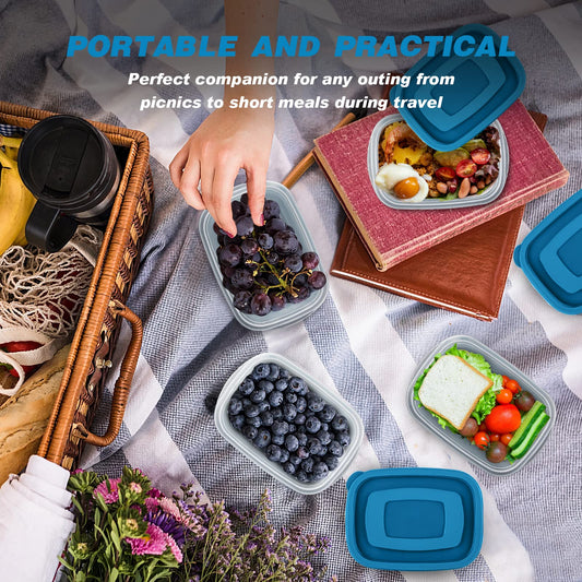 EFISH 10PCS Rechteck Kunststoff Portion Box Sets mit Deckel.Food Aufbewahrungsbox, Behälter, Lebensmittellagerung, Lebensmittelbehälter,500 ML Pro Box.