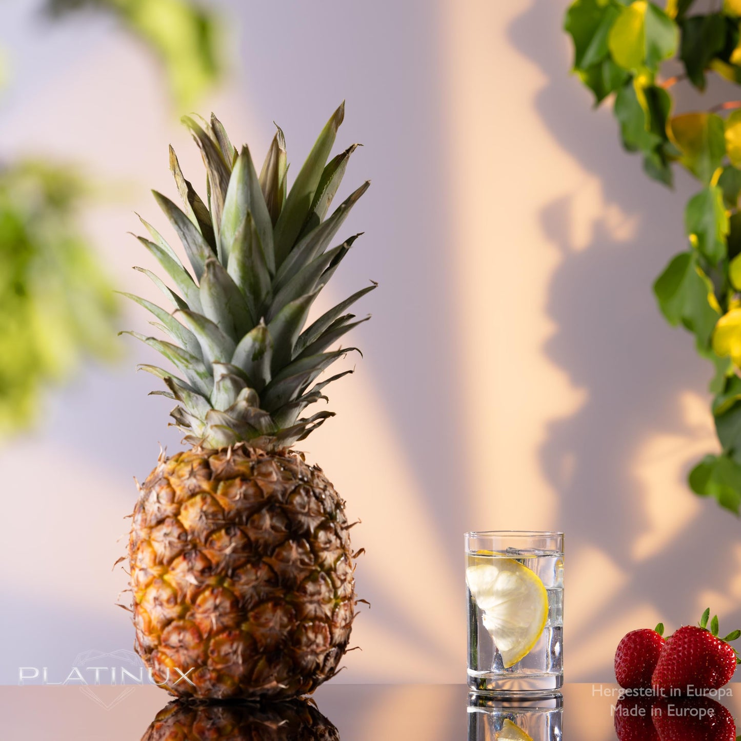 PLATINUX Gerade kleine Trinkgläser 80ml (max. 100ml) Set 6-Teilig Saftgläser aus Glas Wassergläser Spülmaschinenfest