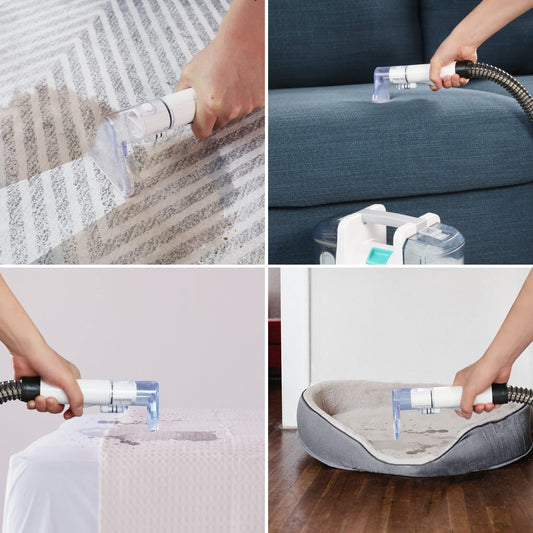 HAUSHOF Waschsauger Teppichreiniger, StainZapper Fleckenreiniger für Teppich, Sofa, Vorleger, Polster, Treppen, Auto, 28,5cm X 15cm X 26,5cm, 400W, 85dB, Weiß/Grau