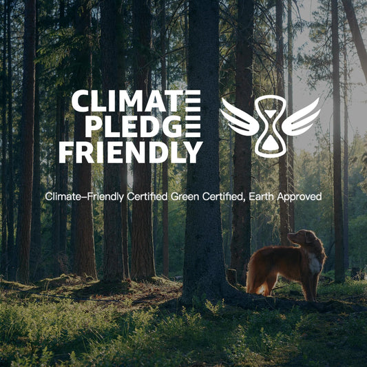 PERLESMITH TV Wandhalterung 37–85 Zoll – Schwenkbare & Neigbare Wandhalterung für Flachbild- und Curved-Fernseher bis 60 kg, max. VESA 600×400 mm, Schwarz