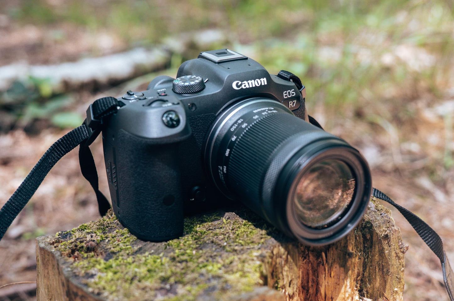 Canon EOS R7 Kamera spiegellose Camera + RF-S 18-150mm F3.5-6.3 is STM Objektiv (DSLR Upgrade, Hybridkamera, 4K/30p Videoaufnahmen, bis zu 15 B/s, WLAN) schwarz