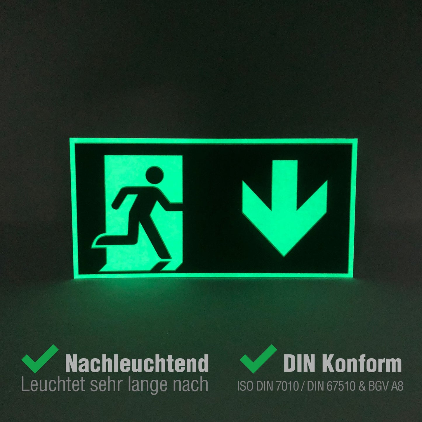 Hochwertiges Notausgangsschild Pfeil unten - 30x15 cm langnachleuchtend + selbstklebend - Original Protecticure Fluchtwegschild PVC -Rettungszeichen/Rettungsschild/nachleuchtend