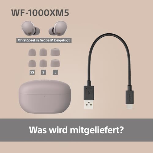 Sony WF-1000XM5 Kabellose Noise Cancelling Kopfhörer, Bluetooth, In-Ear-Kopfhörer, Mikrofon, bis zu 24 Stunden Akkulaufzeit, Schnellladefunktion, IPX4, iOS & Android kompatibel - Rosa