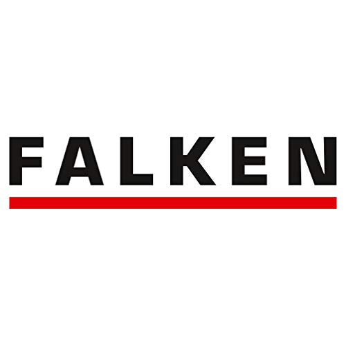 Original Falken Karton-Register überbreit für DIN A4+ 24,5 x 30 cm volle Höhe mit Organisationsdruck 10-teilig vollfarbig 2 x 5 Farben zur Ablage von Prospekthüllen