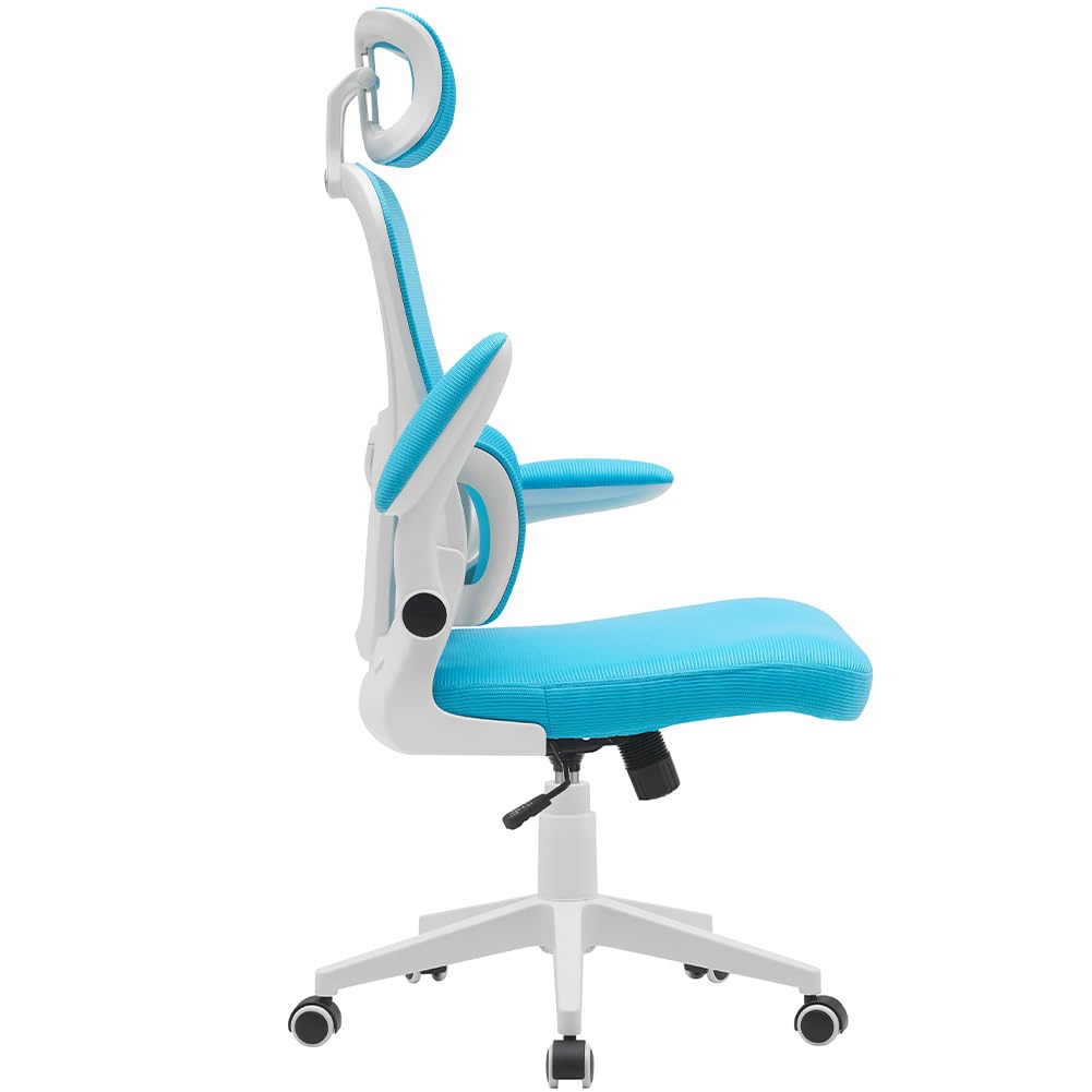 BAKAJI ergonomischer Bürostuhl mit Lendenstütze, Hellblau