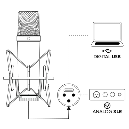 RØDE NT1 5 Generation Großmembran-Kondensatormikrofon mit XLR- und USB-Ausgang, Mikrofonspinne und Popfilter für Musikproduktion, Gesangsaufnahmen und Podcasts (schwarz)