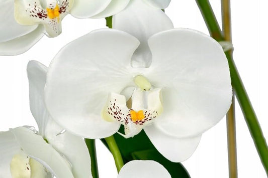 Künstliche Orchidee | Künstliche Blumen | Orchidee in einem silbernen Topf (White)