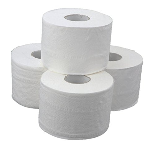 Blanc HYGIENIC Toilettenpapier SMART-Maxi – Set mit 24x Rollen à 75 m, 2-lagig, Klopapierrolle für Toilettenpapier-Spender, Weiß