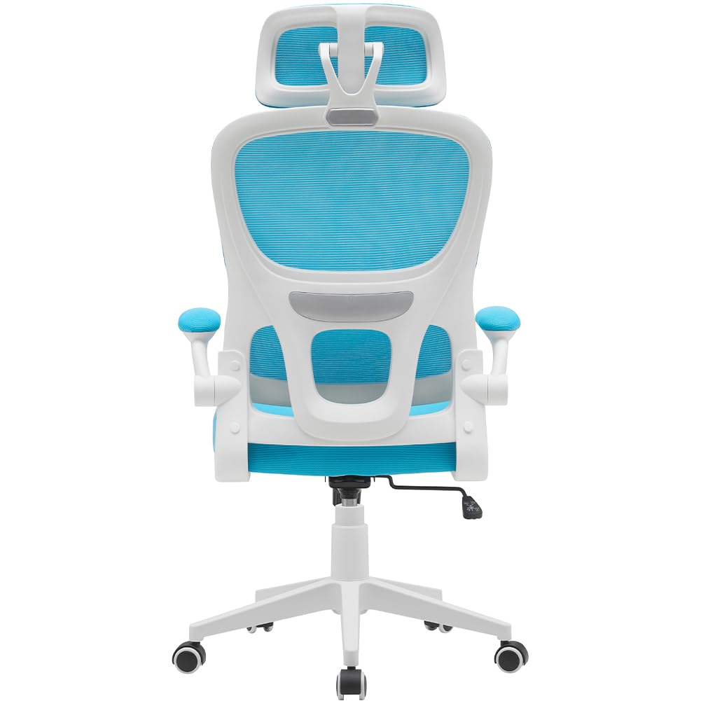 BAKAJI ergonomischer Bürostuhl mit Lendenstütze, Hellblau