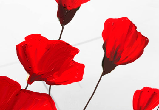 murando Wandbild Mega XXXL MohnblumenEinteiliger XXL-Format Kunstdruck zur Selbstmontage Leinwandbilder moderne Bilder DIY Wanddekoration Wohnung Deko Blumen Natur grau rot