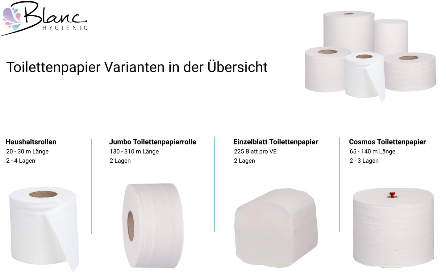 Blanc HYGIENIC Toilettenpapier SMART-Maxi – Set mit 24x Rollen à 75 m, 2-lagig, Klopapierrolle für Toilettenpapier-Spender, Weiß