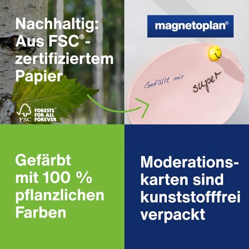 magnetoplan 1111511 Moderationskoffer, Kompakt