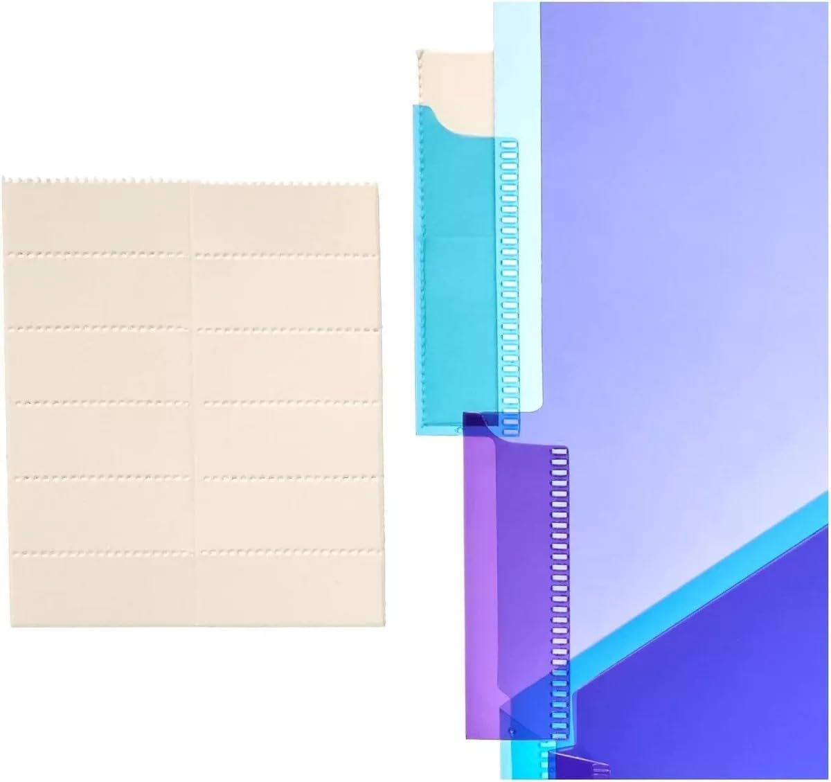 Amazon Basics Kunststoff-Trennblätter mit 2 Taschen, 3 Stück, Mehrfarbig, letter size