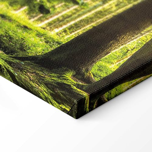 murando - Akustikbild Wald 225x90 cm 5 tlg Bilder Akustikschaum Schallschutz Akustikpaneele Wandpaneele Schalldämmung Wandbild Schallabsorber Akustikplatten Waldlandschaft Natur Baum c-C-0177-b-n