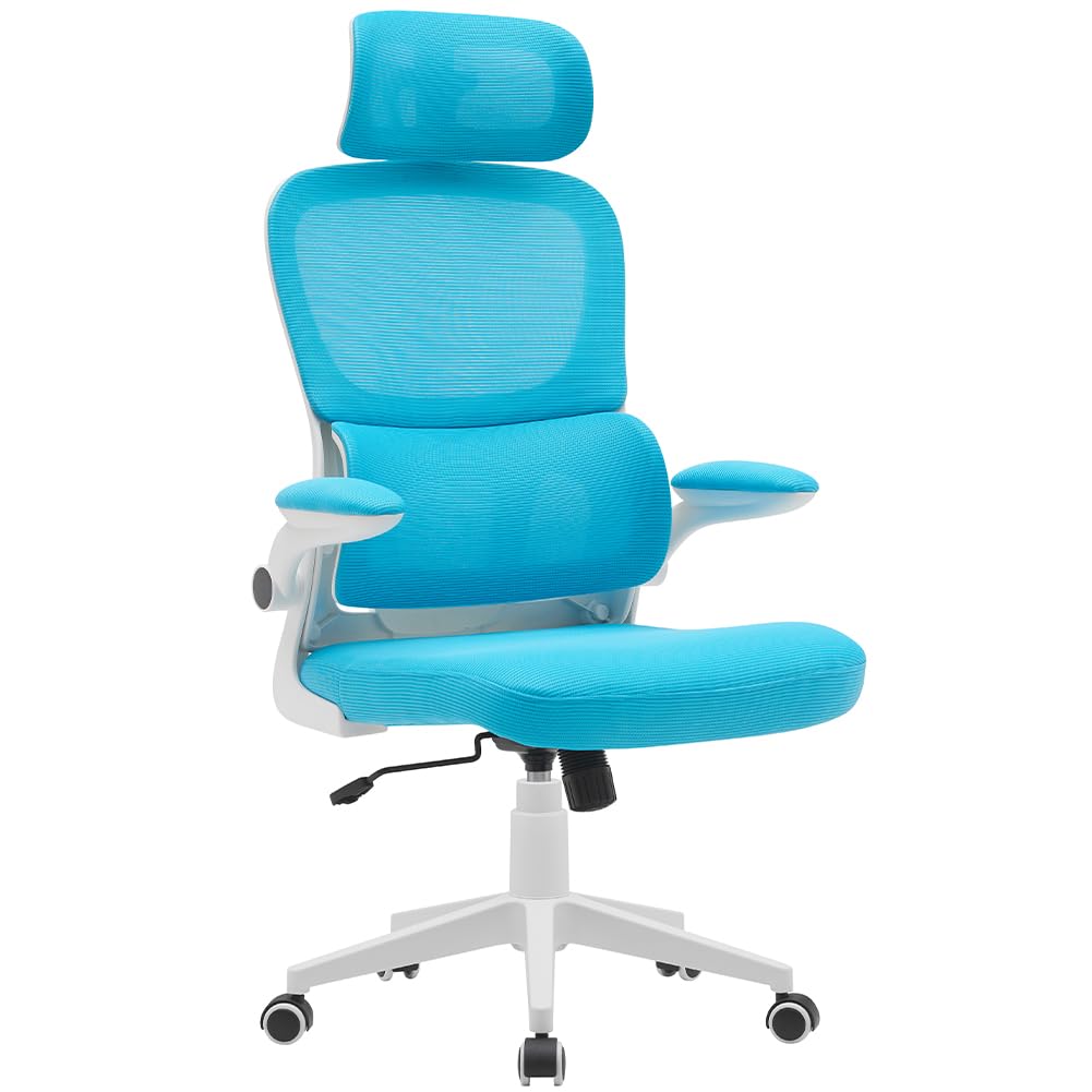 BAKAJI ergonomischer Bürostuhl mit Lendenstütze, Hellblau