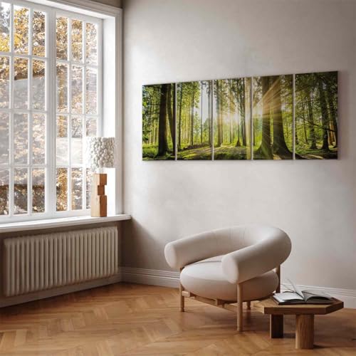 murando - Akustikbild Wald 225x90 cm 5 tlg Bilder Akustikschaum Schallschutz Akustikpaneele Wandpaneele Schalldämmung Wandbild Schallabsorber Akustikplatten Waldlandschaft Natur Baum c-C-0177-b-n