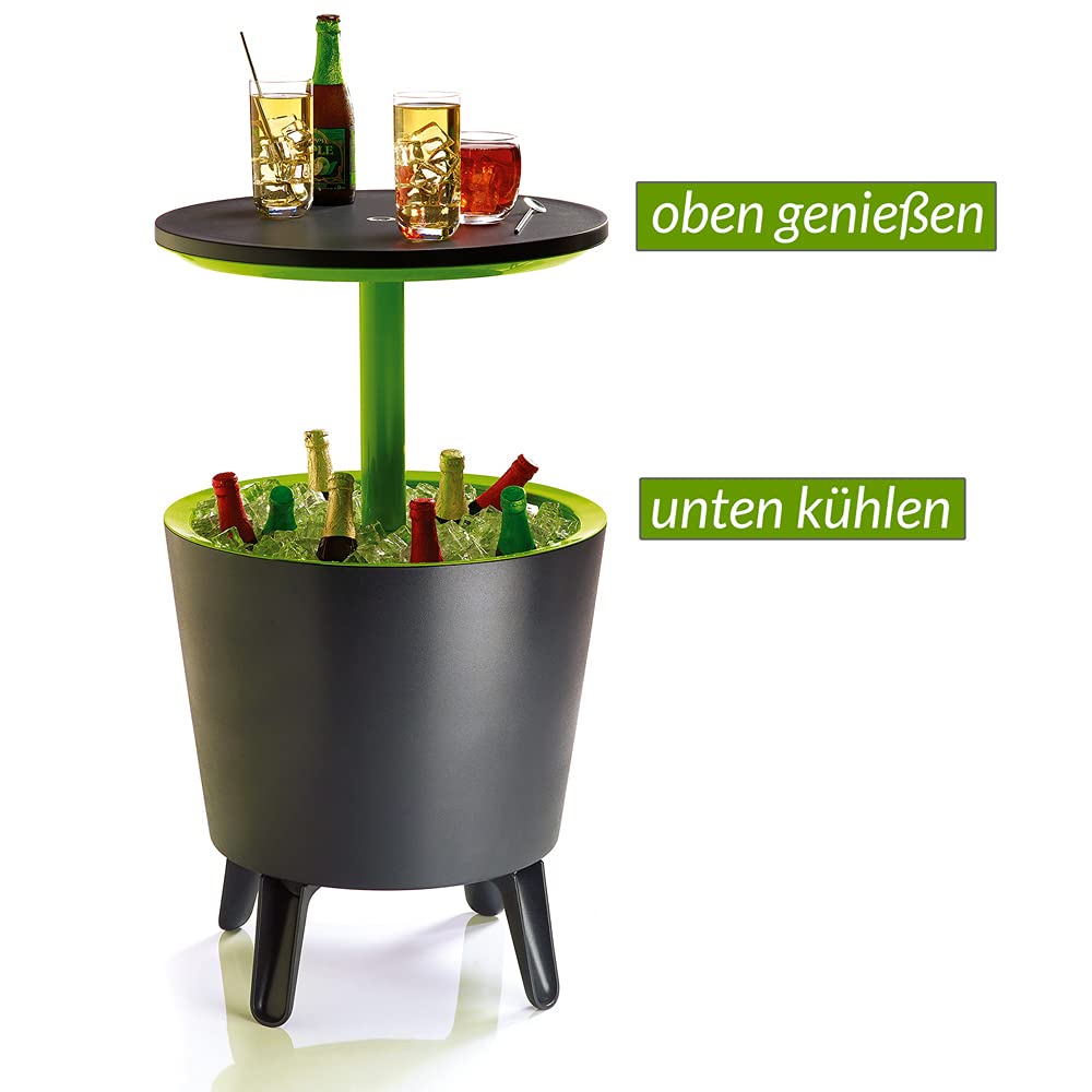 Keter Cool Bar 30 Liter, grau/grün