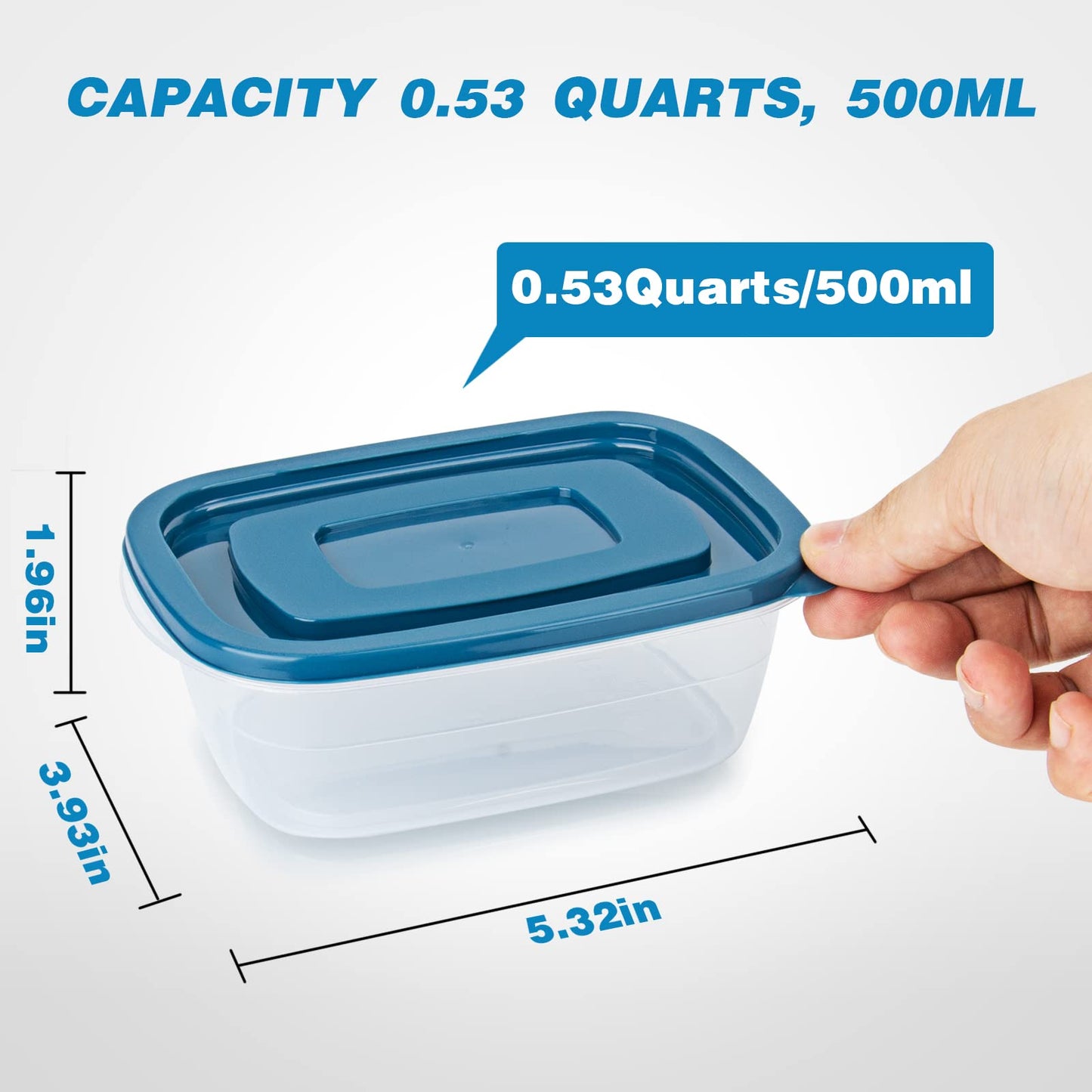 EFISH 10PCS Rechteck Kunststoff Portion Box Sets mit Deckel.Food Aufbewahrungsbox, Behälter, Lebensmittellagerung, Lebensmittelbehälter,500 ML Pro Box.