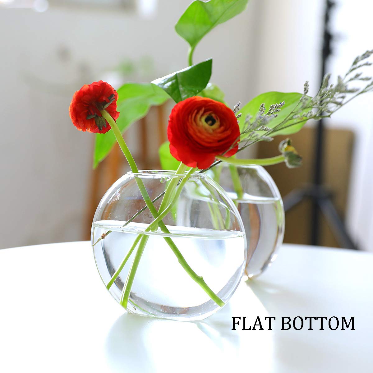 Tischplatte hängen Glas Pflanzer Pcs von 2 Vermehrungsstation Moderne Blumenknospe Vase in Holz Stehen für Hydroponik Pflanzen Stecklinge Büro Home Decoration