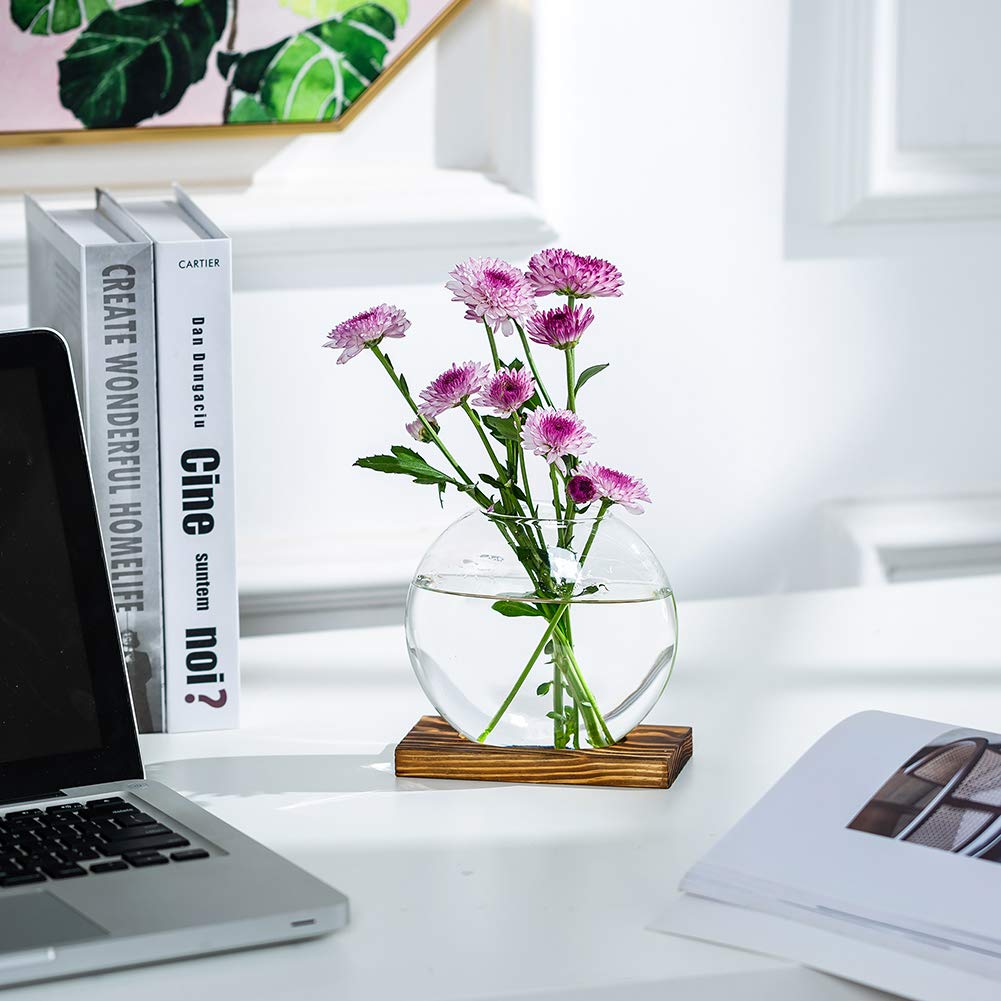 Tischplatte hängen Glas Pflanzer Pcs von 2 Vermehrungsstation Moderne Blumenknospe Vase in Holz Stehen für Hydroponik Pflanzen Stecklinge Büro Home Decoration