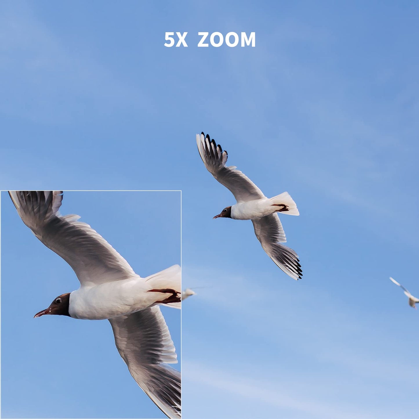 SJCAM SJ4000 Action Cam 4K30fps WiFi Kamera,40MP Ultra HD 170°FOV mit EIS Bildstabilisierung,Unterwasserkamera 30m/98ft Wasserdicht Kamera mit 2 Akkus, 32G SD Karte und Helmhalterung Zubehör Kits