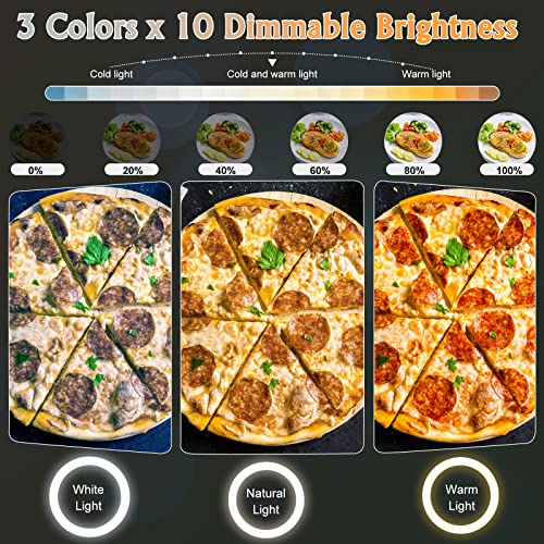 10 Zoll LED Ringlicht mit Stativ Handy, Overhead Stativ Handy mit Ringlicht, Dimmbare LED Tischringlicht für YouTube-Videoaufnahmen, Selfie, Makeup, Tik Tok, Fotografie Kompatibel mit Smartphone