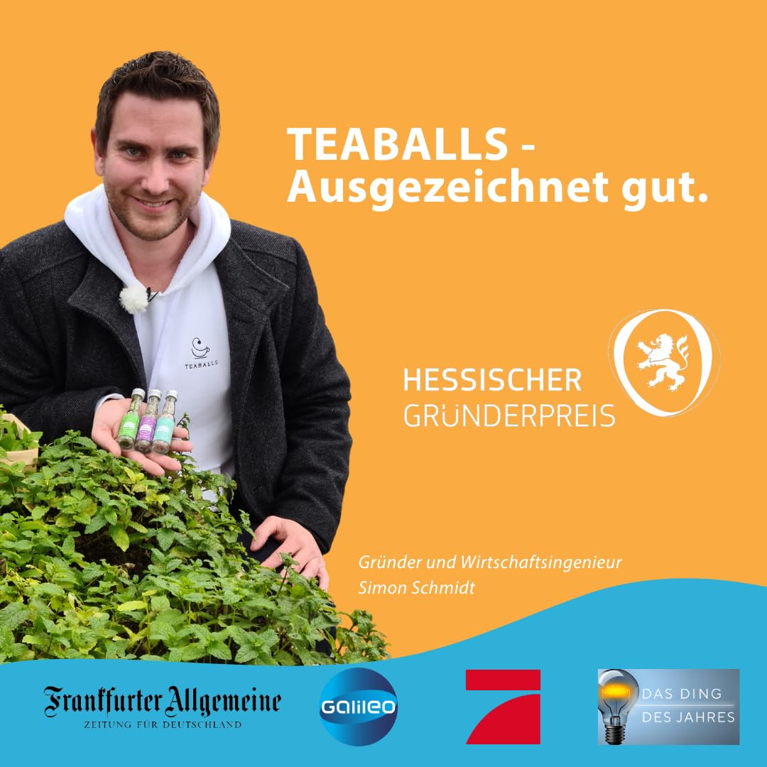 TEABALLS Set Big Classic Earl Grey, Minze, Zitrone, Grüner Tee, Hibiskus 5er Pack für 375 Tassen Tee
