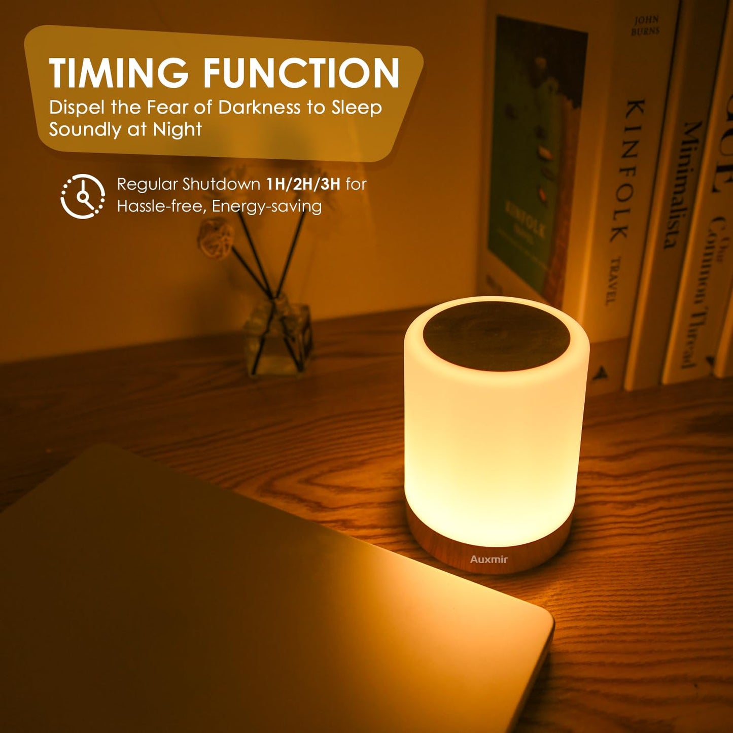 Auxmir LED Nachttischlampe Touch Dimmbar mit 256 RGB Farben & 4 Modi, Tischlampe Kabellos USB Aufladbar, Nachtlicht Holzmaserung Timing Funktion, Tragbar Nachtlampe für Schlafzimmer Wohnzimmer Camping