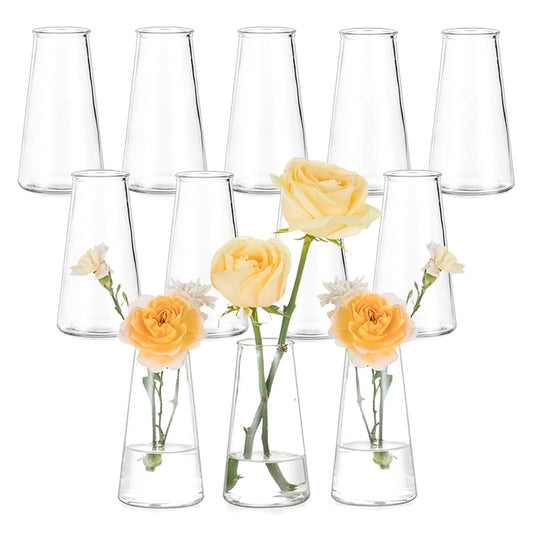 Hewory Kleine Glasvasen für Tischdeko Hochzeit: 12er Kleine Vasen Set Blumenvase Modern Vase Glas für Hochzeitsdeko - Klar Blumenvase Glas Vasen Deko Tulpenvase für Deko Wohnzimmer Wedding Esstisch