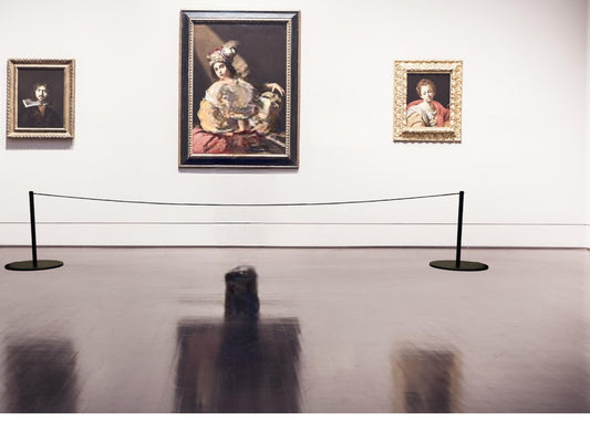 FLEXIBARRIER 2-Stück-Set Museumabsperrung, Stilvolles Absperrsystem für Museen und Galerien, Absperrständer mit elastischer Kordel (Schwarz)