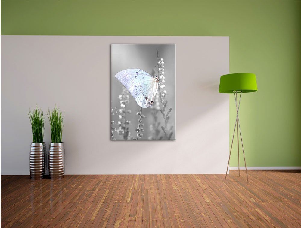 Pixxprint Schmetterling auf Blütenknospen, Größe: 60x40cm, Leinwandbild, fertig gespannt, Wandbild, Dekoration, Kunstdruck, kein Poster