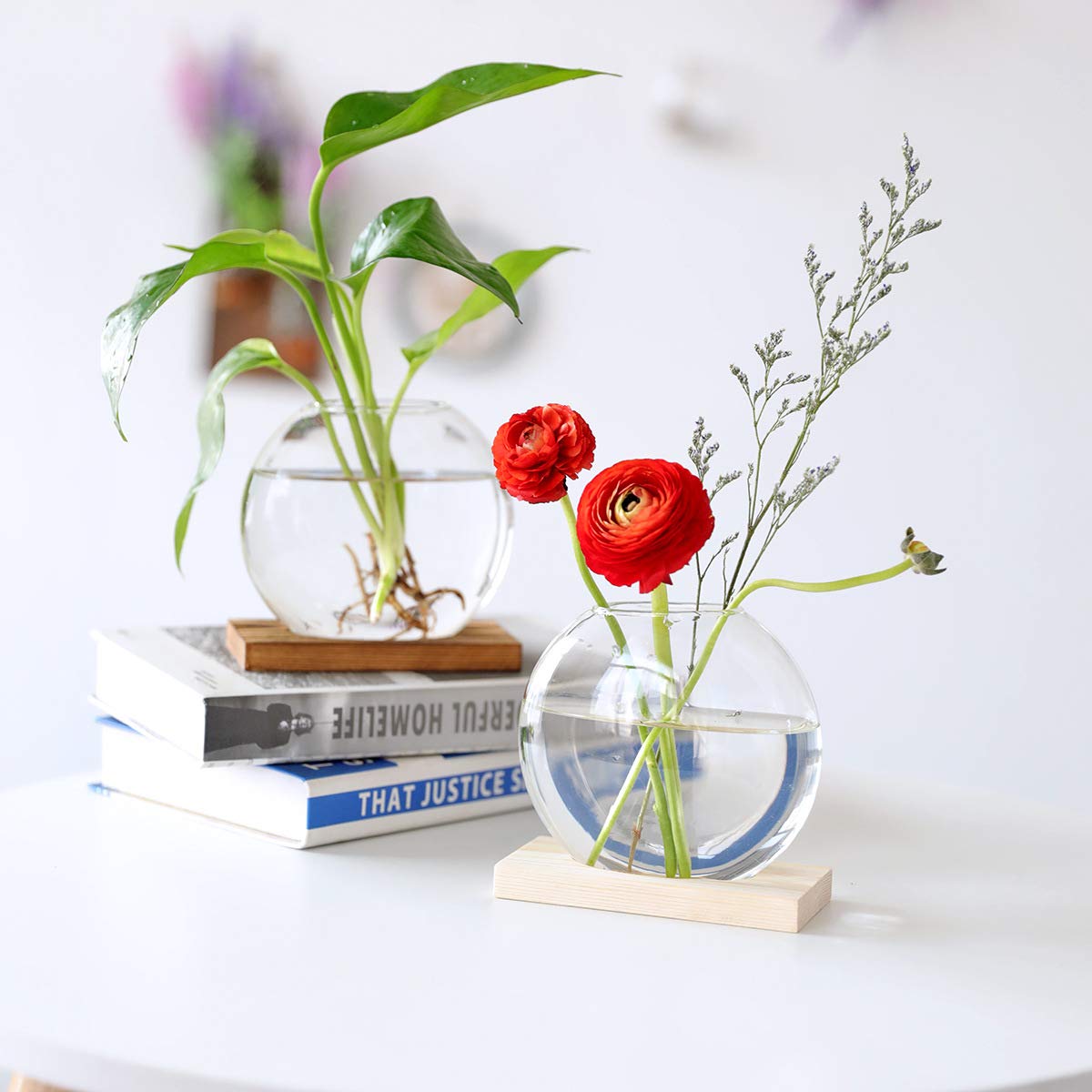 Tischplatte hängen Glas Pflanzer Pcs von 2 Vermehrungsstation Moderne Blumenknospe Vase in Holz Stehen für Hydroponik Pflanzen Stecklinge Büro Home Decoration
