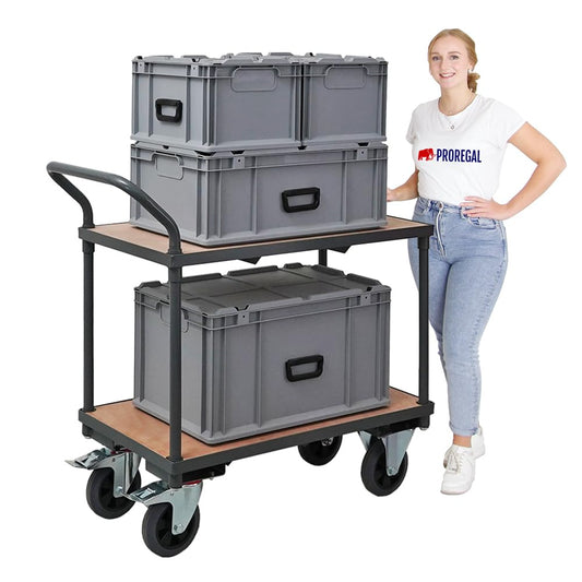 PROREGAL Tischwagen Transportwagen Handwagen Materialwagen Pro mit 2 Etagen | HxBxT 95x50x97cm | Traglast 400kg | Grau