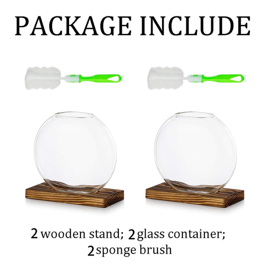 Tischplatte hängen Glas Pflanzer Pcs von 2 Vermehrungsstation Moderne Blumenknospe Vase in Holz Stehen für Hydroponik Pflanzen Stecklinge Büro Home Decoration