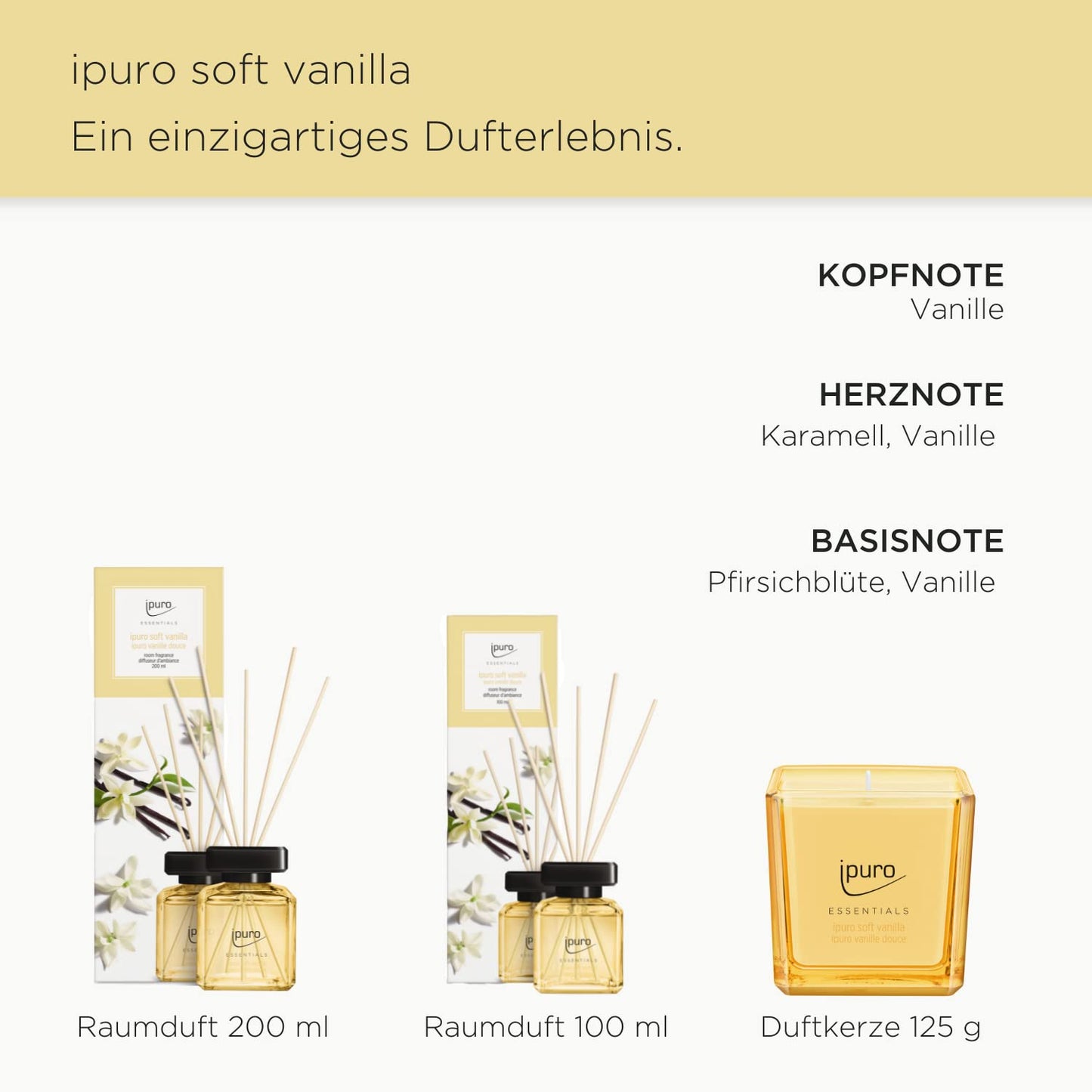 ipuro - dekorative ipuro soft vanilla Duftkerze - minimalistische & puristische Duftkerzen im Glas - intensive Duftkerzen mit feiner Madagaskar Vanille - stilvolle Kerze 125 g