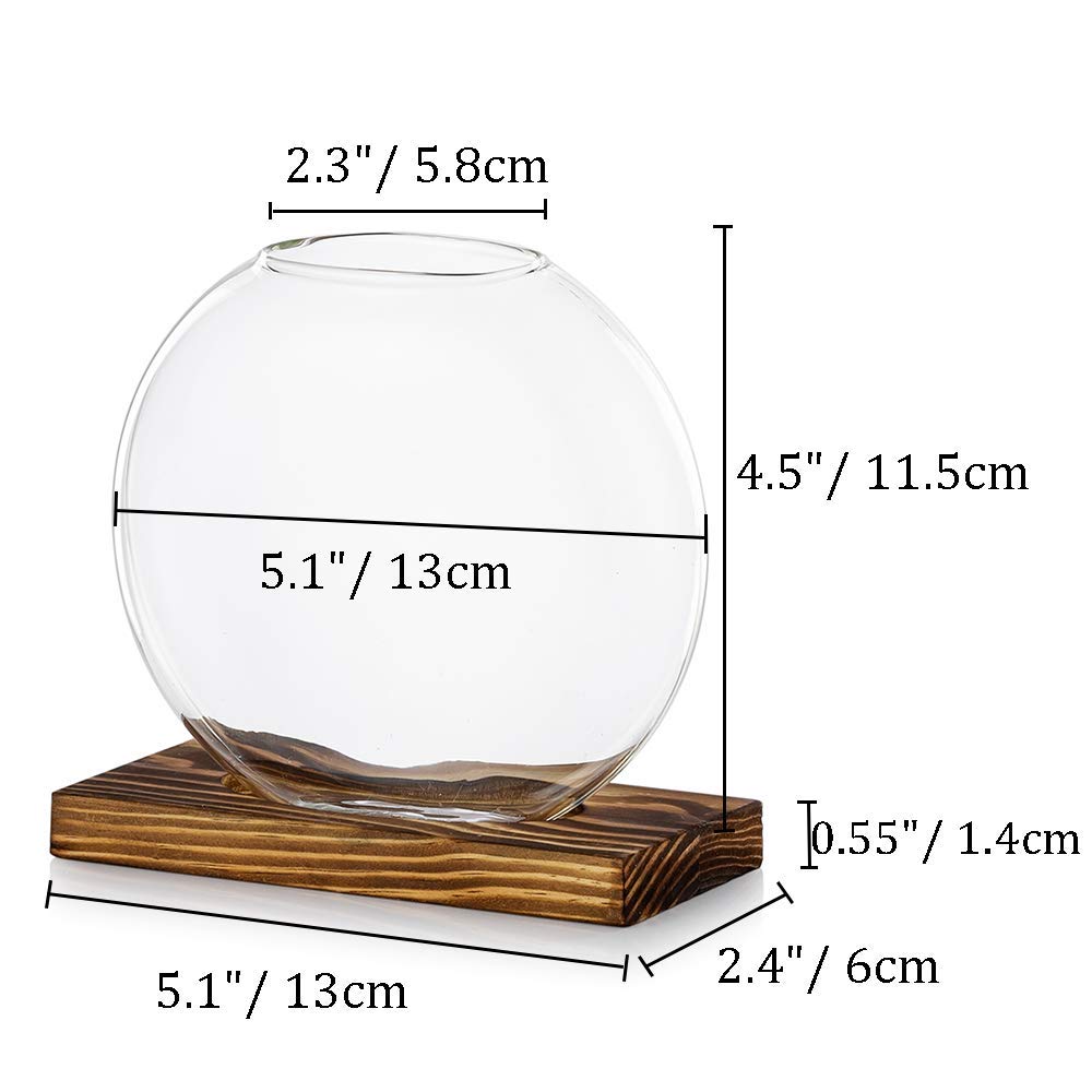 Tischplatte hängen Glas Pflanzer Pcs von 2 Vermehrungsstation Moderne Blumenknospe Vase in Holz Stehen für Hydroponik Pflanzen Stecklinge Büro Home Decoration