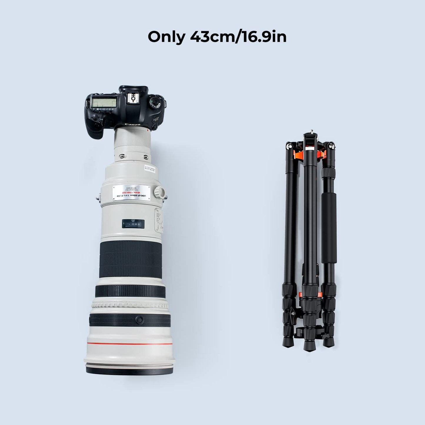 K&F Concept 198cm Kamera Stativ，Aluminium Tripod, Stativ mit Monopod Funktion, 360° Panorama Kugelkopf Schnellwechselplatte für Spielgelreflexkamera, Digitalkamera