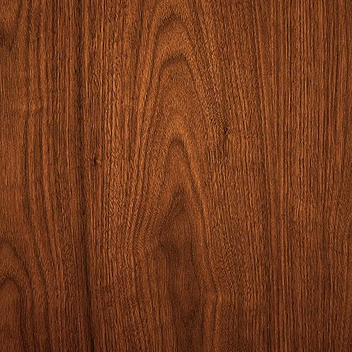 Armen Living lcvibagrwa30 Vienna 76,2 cm Bar Höhe Barhocker in GRAU Kunstleder und Walnuss Holz-Finish