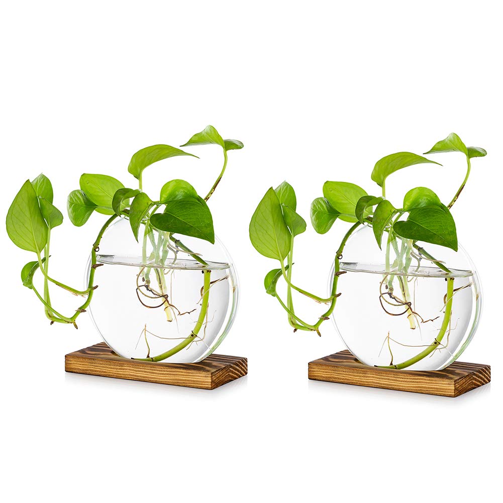 Tischplatte hängen Glas Pflanzer Pcs von 2 Vermehrungsstation Moderne Blumenknospe Vase in Holz Stehen für Hydroponik Pflanzen Stecklinge Büro Home Decoration