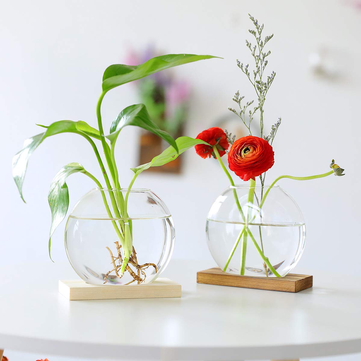 Tischplatte hängen Glas Pflanzer Pcs von 2 Vermehrungsstation Moderne Blumenknospe Vase in Holz Stehen für Hydroponik Pflanzen Stecklinge Büro Home Decoration