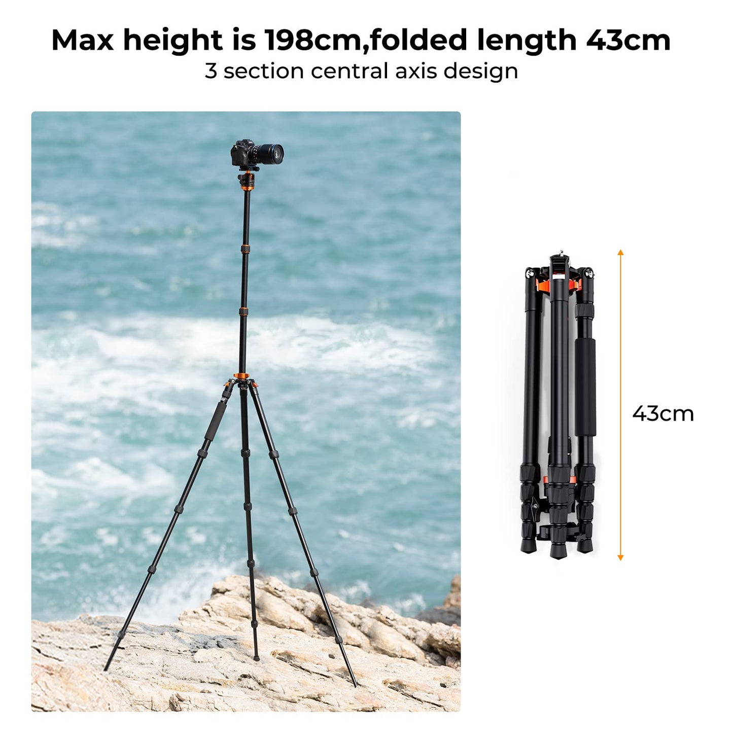 K&F Concept 198cm Kamera Stativ，Aluminium Tripod, Stativ mit Monopod Funktion, 360° Panorama Kugelkopf Schnellwechselplatte für Spielgelreflexkamera, Digitalkamera