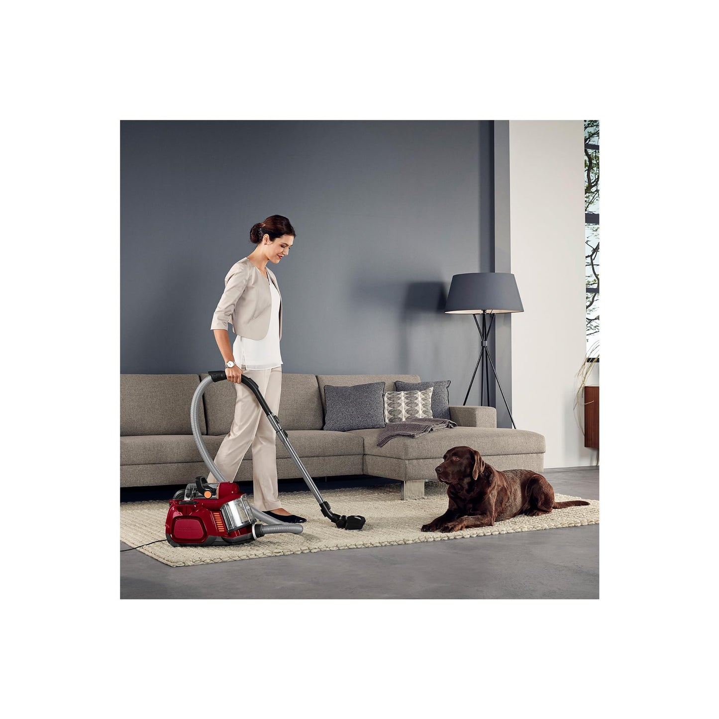 AEG LX7-2-CR-A Staubsauger beutellos / ideal für Haustierbesitzer / Zusatzdüsen + Spezialdüsen-Set für Tierhaare / 750 Watt / 9 m Aktionsradius / 1,4l Staubbehälter / waschbarer Hygiene Filter / rot