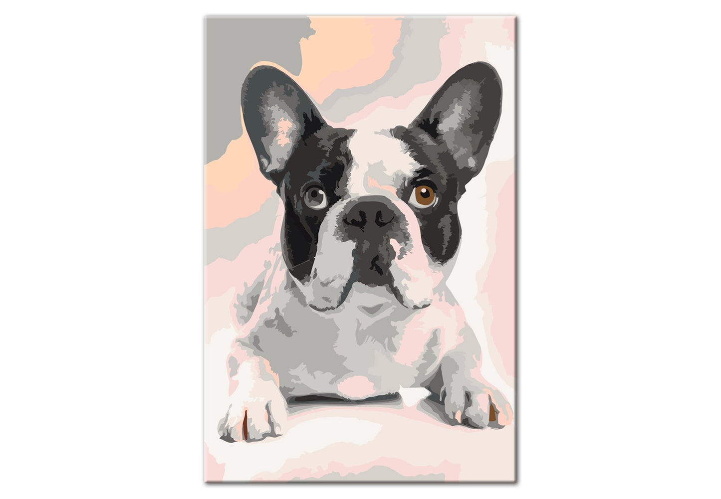 murando - Malen nach Zahlen Hund Bulldog 40x60 cm Malset mit Holzrahmen auf Leinwand für Erwachsene Kinder Gemälde Handgemalt Kit DIY Geschenk Dekoration n-A-0195-d-a