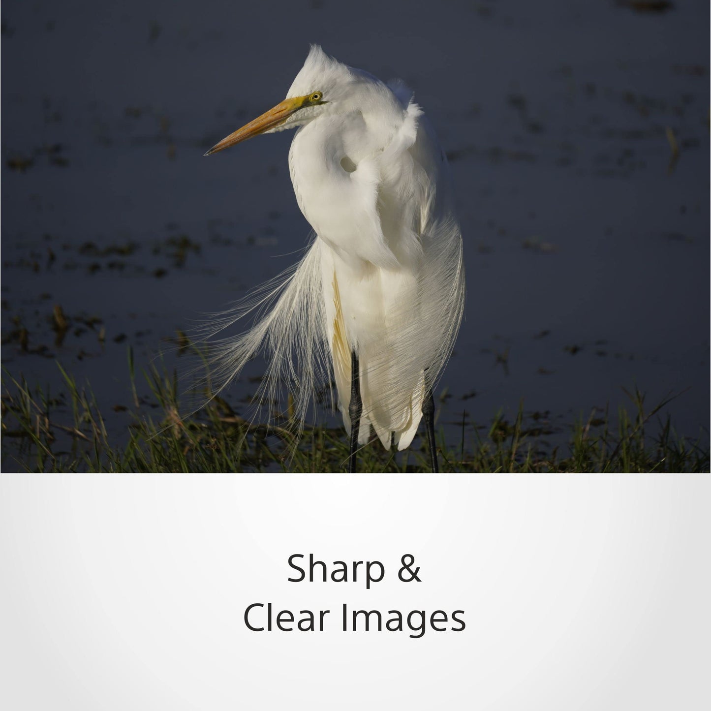 Sony E 70-350mm f/4.5-6.3 G OSS | APS-C, Super-Telezoom-Objektiv (SEL70350G)