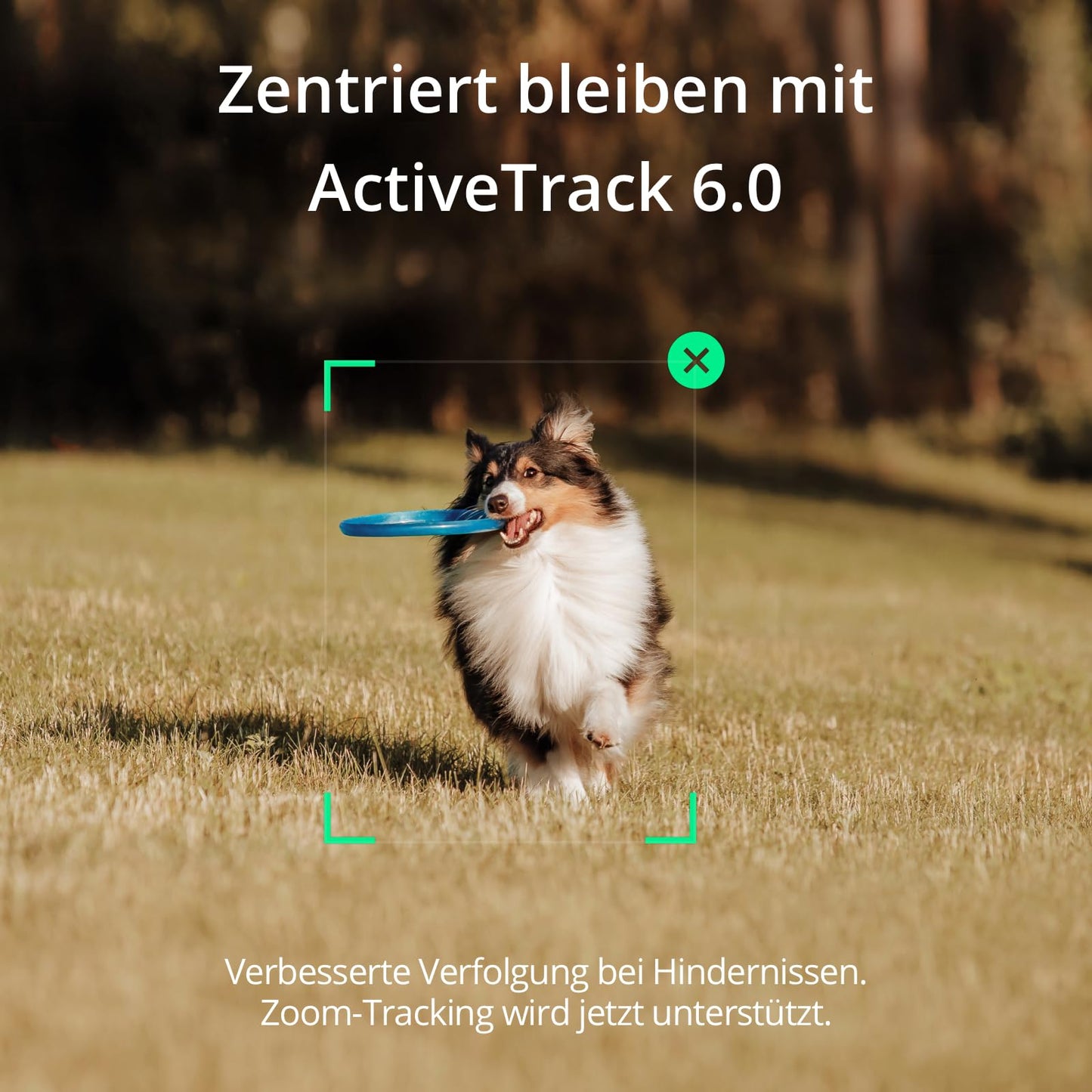 DJI OSMO Mobile SE Smartphone-Gimbal, 3-Achsen-Stabilisierung, handlich und, Android- iPhone-Gimbal mit ShotGuides, ActiveTrack 5.0, Vlog-Stabilisator, Athens Grau
